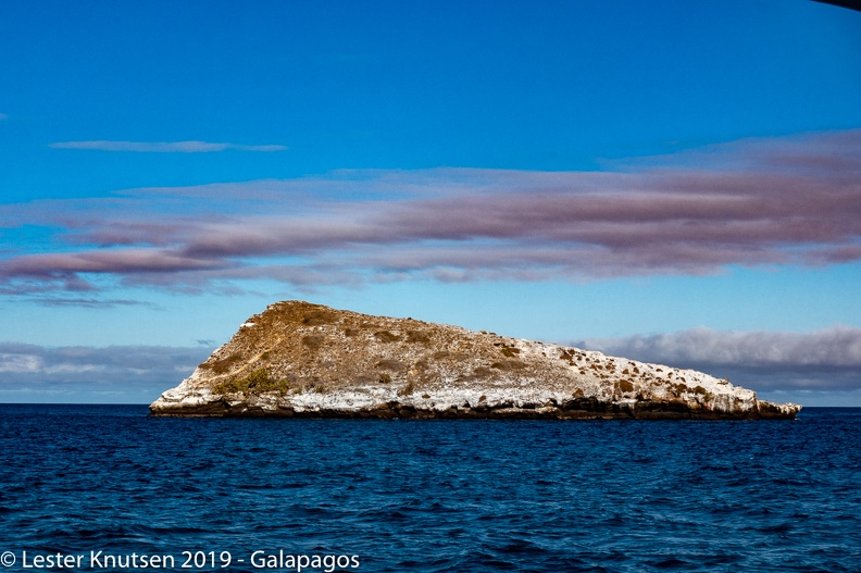 LesterKnutsen_2019_Galapagos__DSC8439.jpg