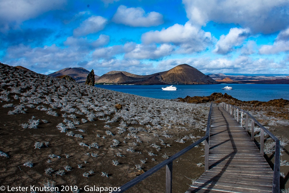 LesterKnutsen 2019 Galapagos-untitled DSC8637