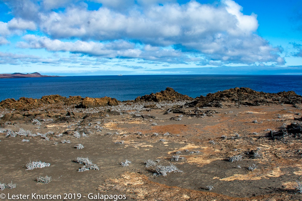 LesterKnutsen 2019 Galapagos-untitled DSC8643