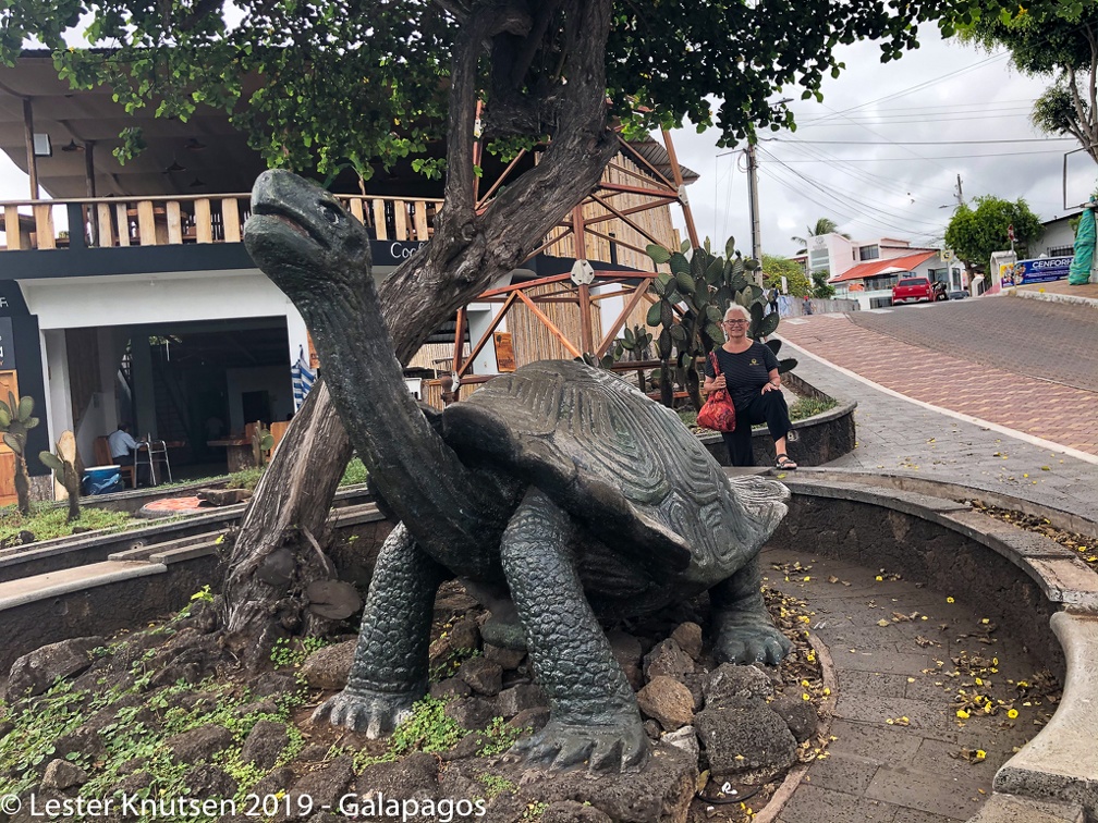 LesterKnutsen 2019 GalapagosIMG 6193