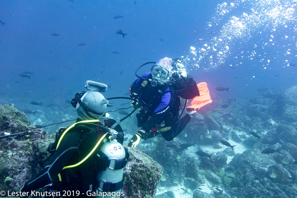 LesterKnutsen 2019 Galapagos  DSC8463