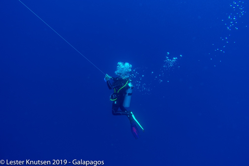 LesterKnutsen 2019 Galapagos  DSC8691