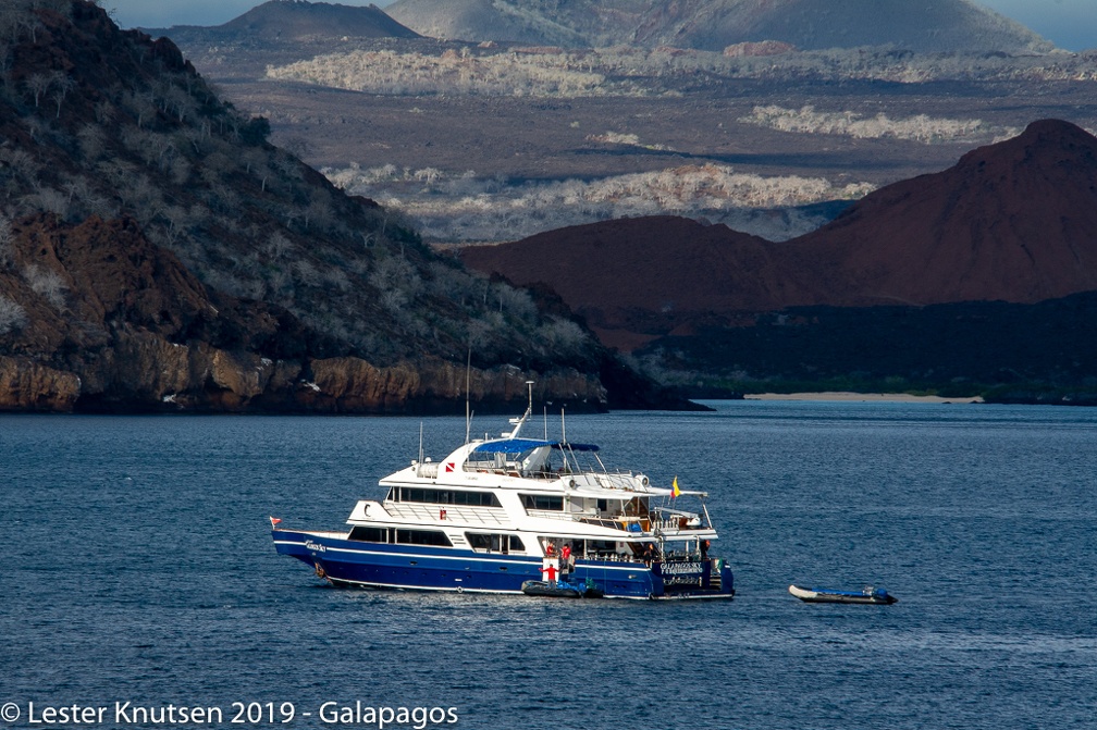 LesterKnutsen 2019 Galapagos-untitled DSC8617