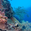 LesterKnutsen Philippines 2019 DSC7595