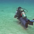 Diver_and_Ray_M0011856_edited_1.jpg