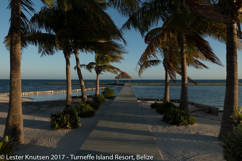 LesterKnutsen Belize 2017  DSC3778