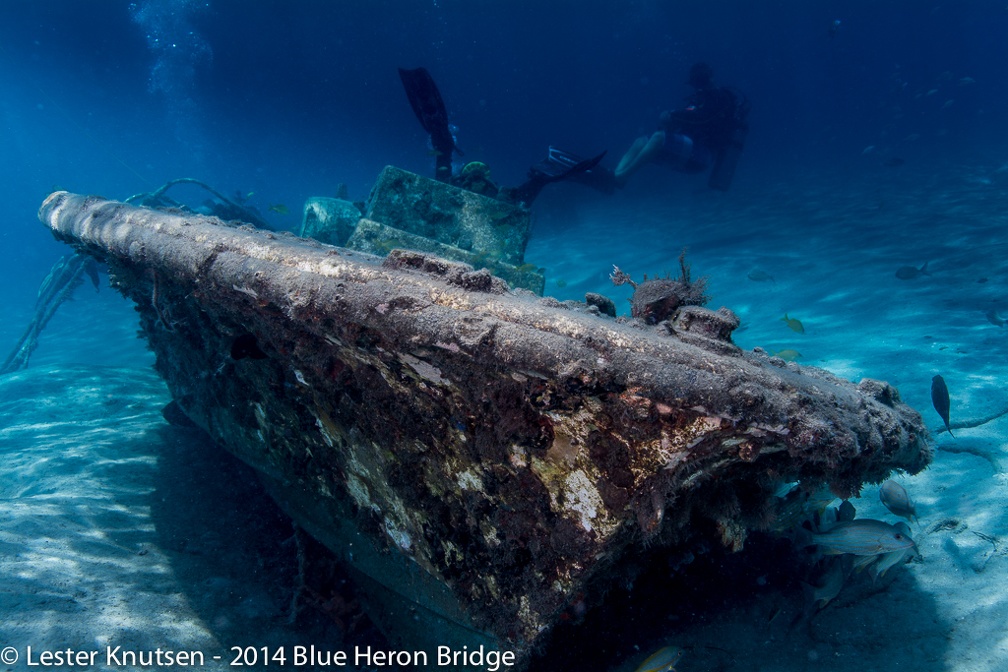 LesterKnutsen BlueHeronBridge 2014 DSC8529