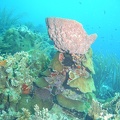 Dive 96 Rock Pile M0011095