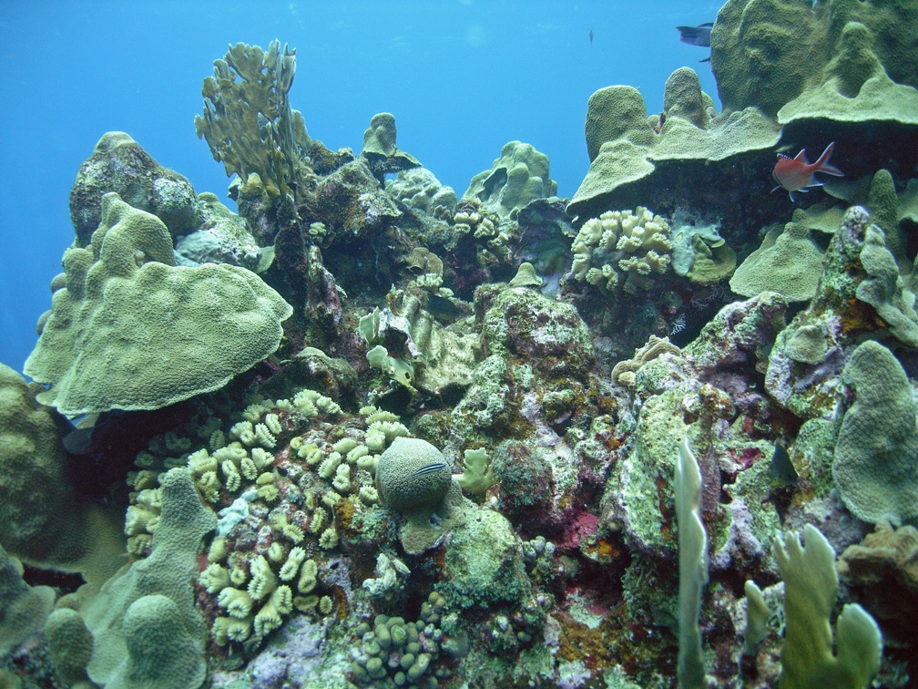 Dive 23 Rappel M0012660 edited 1