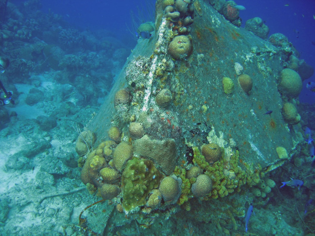 Dive 1 Buddy Reef to LaMachaca LaMachaca Wreck IMG 7731 edited 1
