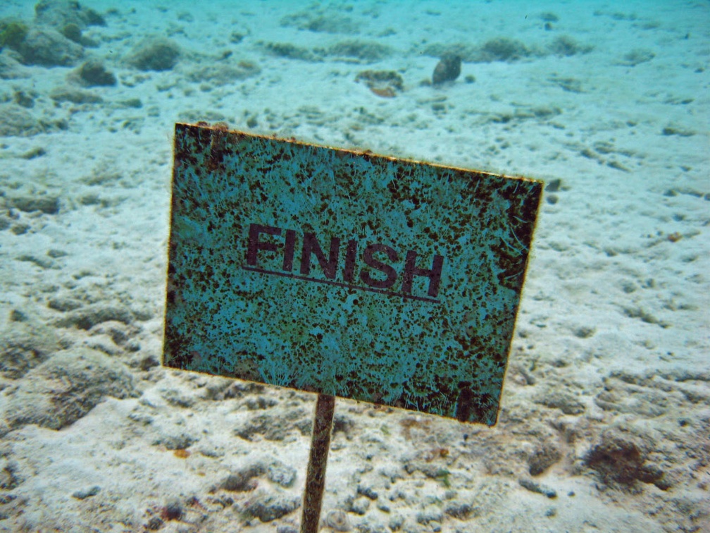 Dive 23 Buddy Reef Finish Sign IMG 8398 edited 1