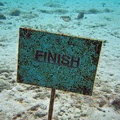 Dive_23_Buddy_Reef_Finish_Sign_IMG_8398_edited_1.jpg