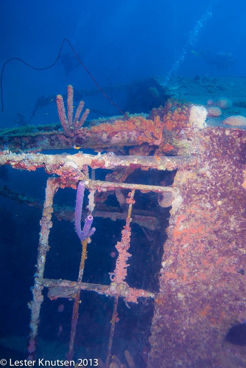 LesterKnutsen Bonaire 201302 DSC1955