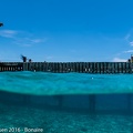 LesterKnutsen Bonaire 2016 DSC0454