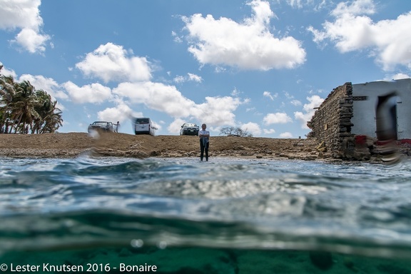 LesterKnutsen Bonaire 2016 DSC0611