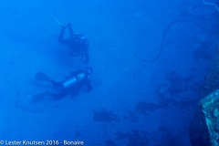 LesterKnutsen Bonaire 2016 DSC0890