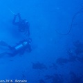 LesterKnutsen Bonaire 2016 DSC0890