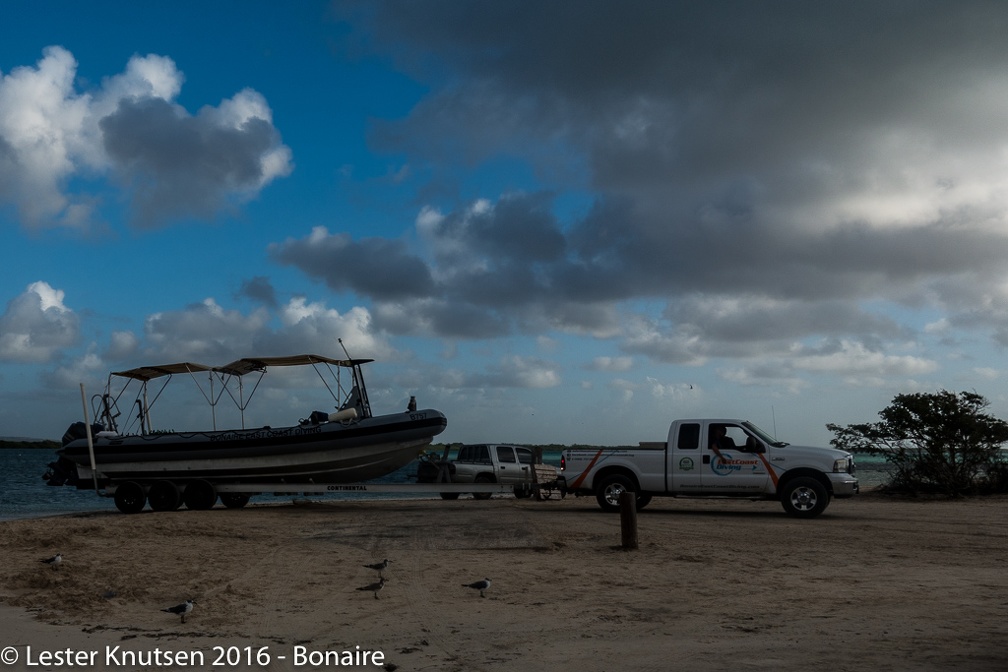 LesterKnutsen Bonaire 2016 DSC1876