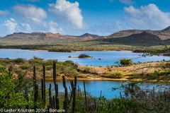 LesterKnutsen Bonaire 2016 DSC1158