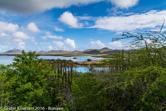 LesterKnutsen Bonaire 2016 DSC1157