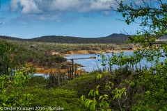 LesterKnutsen Bonaire 2016 DSC1162