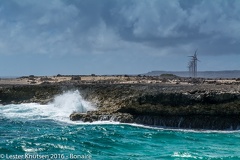 LesterKnutsen Bonaire 2016 DSC1215