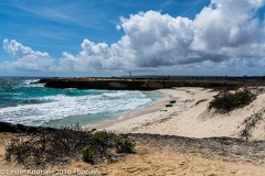 LesterKnutsen Bonaire 2016 DSC1204