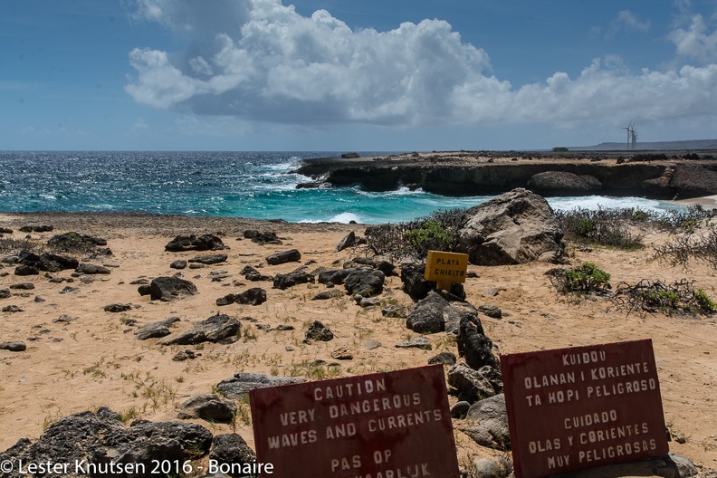 LesterKnutsen Bonaire 2016 DSC1234