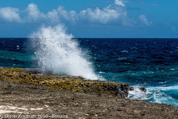 LesterKnutsen Bonaire 2016 DSC1217