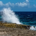 LesterKnutsen Bonaire 2016 DSC1217