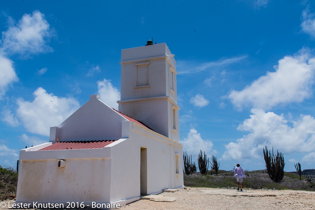 LesterKnutsen Bonaire 2016 DSC1284
