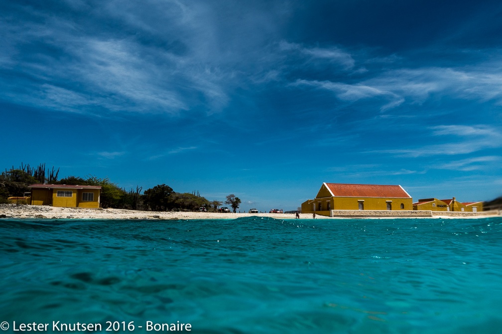 LesterKnutsen Bonaire 2016 DSC1873