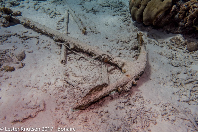 LesterKnutsen_2017_Bonaire_DSC5421.jpg