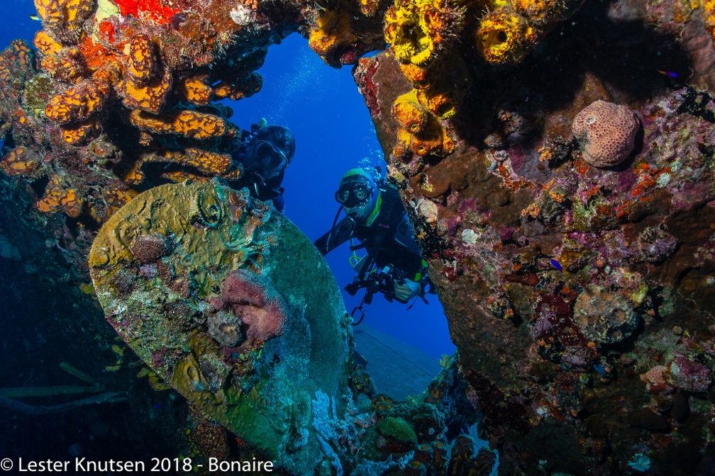 LesterKnutsen 2018 Bonaire DSC8982