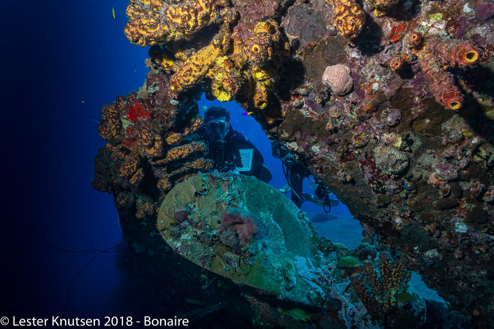 LesterKnutsen 2018 Bonaire DSC8981