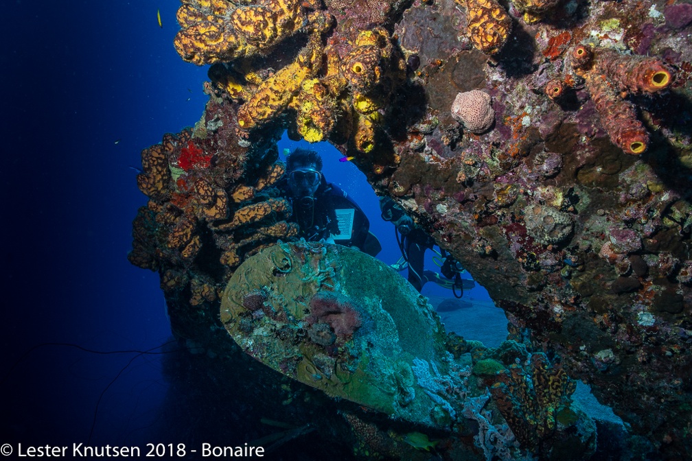 LesterKnutsen 2018 Bonaire DSC8981