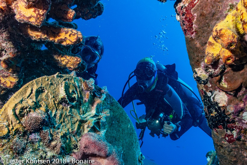 LesterKnutsen 2018 Bonaire DSC8983