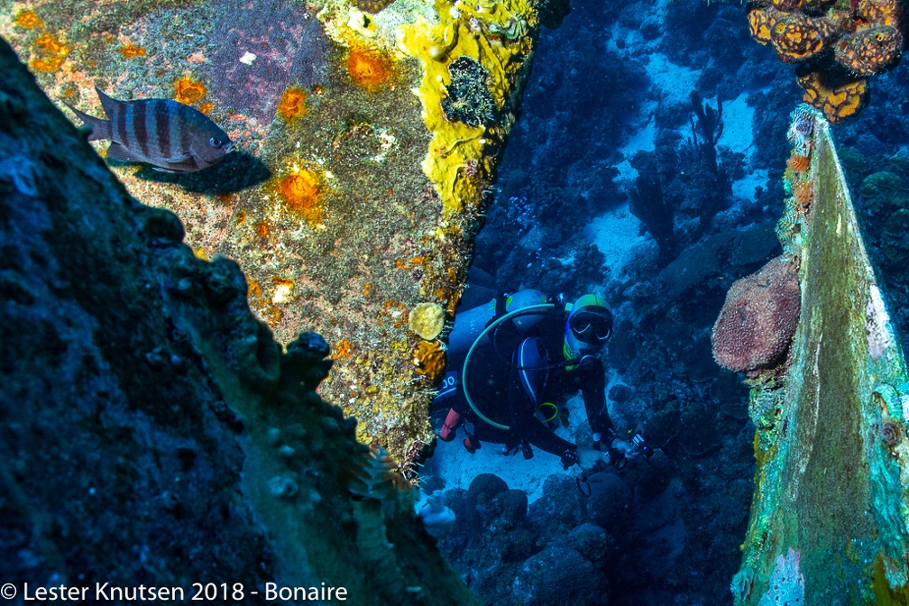 LesterKnutsen 2018 Bonaire DSC8990