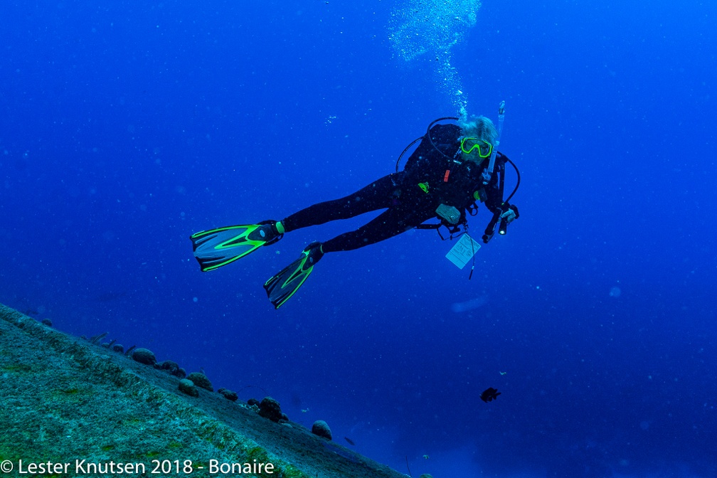 LesterKnutsen 2018 Bonaire DSC8991