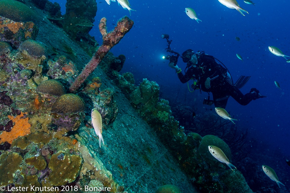 LesterKnutsen 2018 Bonaire DSC9012