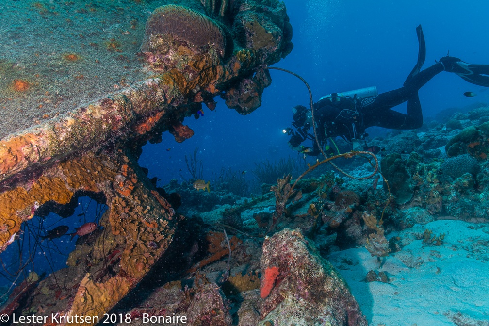 LesterKnutsen 2018 Bonaire DSC9026