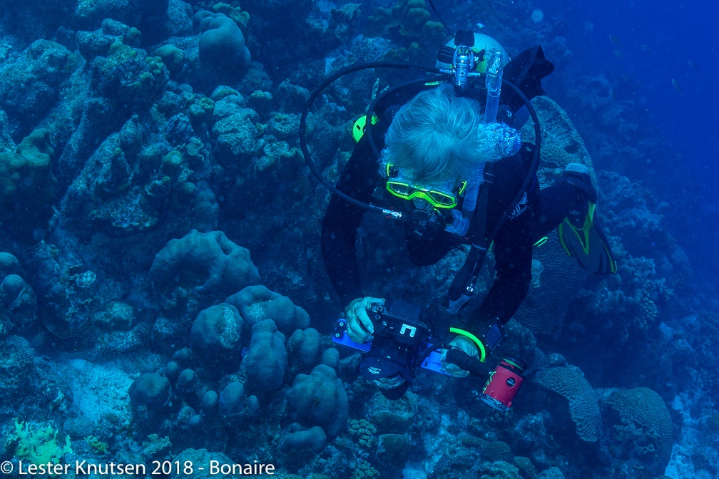 LesterKnutsen 2018 Bonaire DSC9202