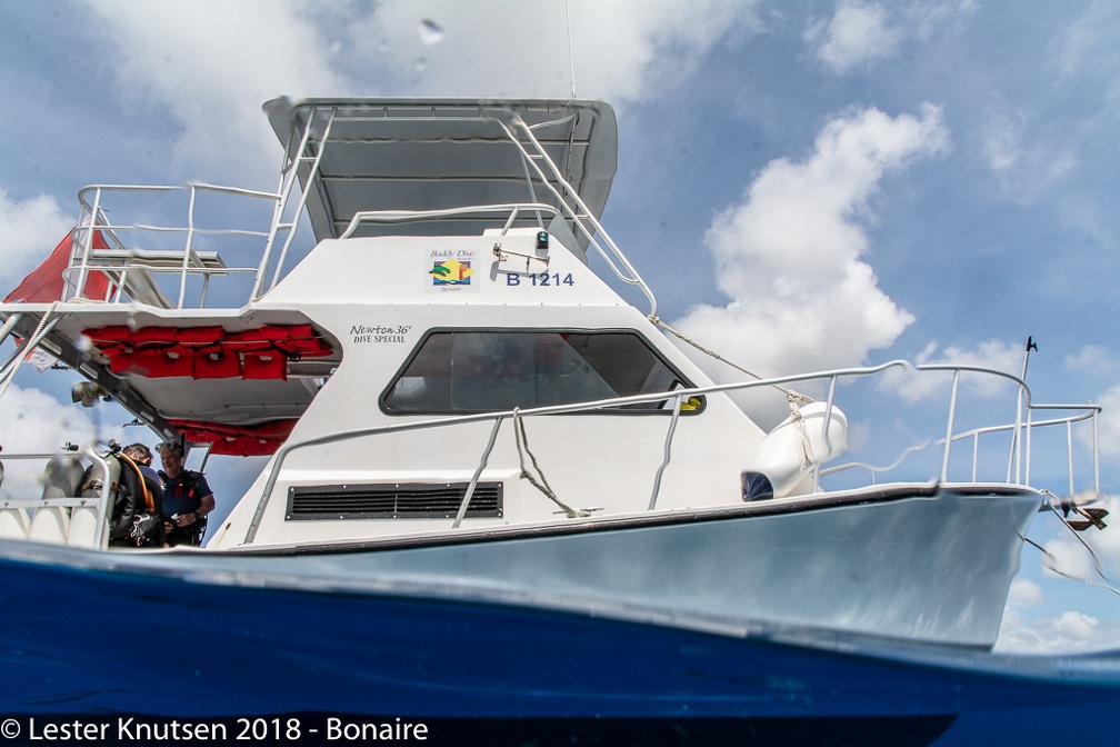 LesterKnutsen 2018 Bonaire DSC9903