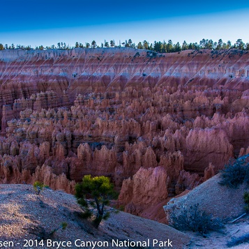 Bryce2014