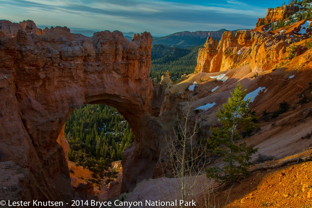 LesterKnutsen Bryce 2014 DSC7669