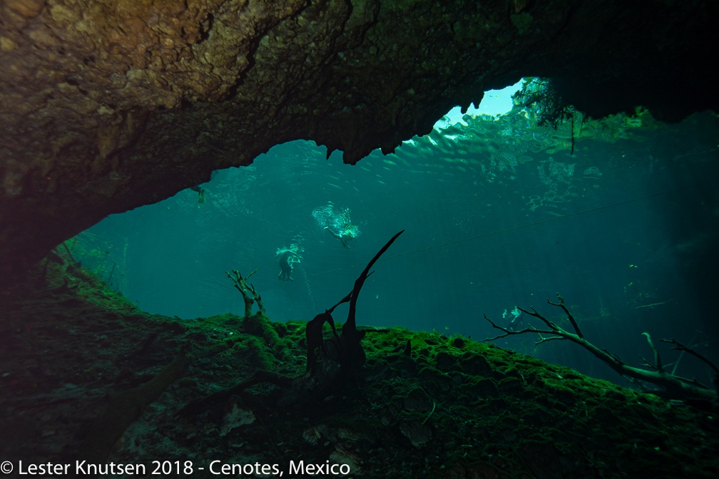 LesterKnutsen 2018 Mexico DSC6026