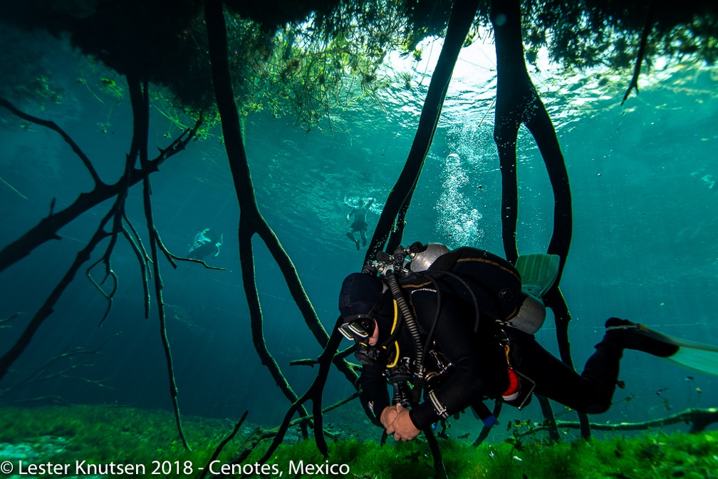 LesterKnutsen 2018 Mexico DSC6012