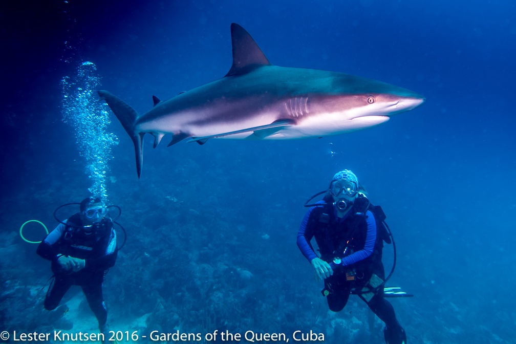 LesterKnutsen Cuba 2016 DSC2497