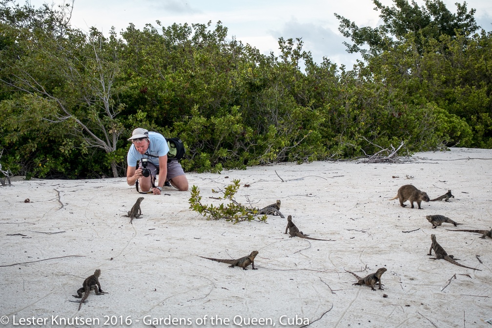 LesterKnutsen Cuba 2016 DSC2597