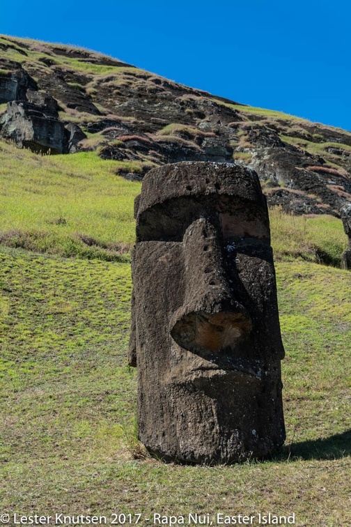 LesterKnutsen 2017 EasterIsland DSC6775